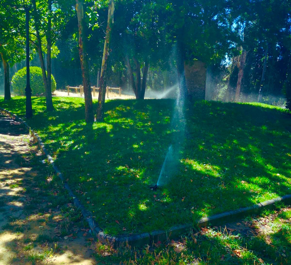 Aurora Suárez tweet media