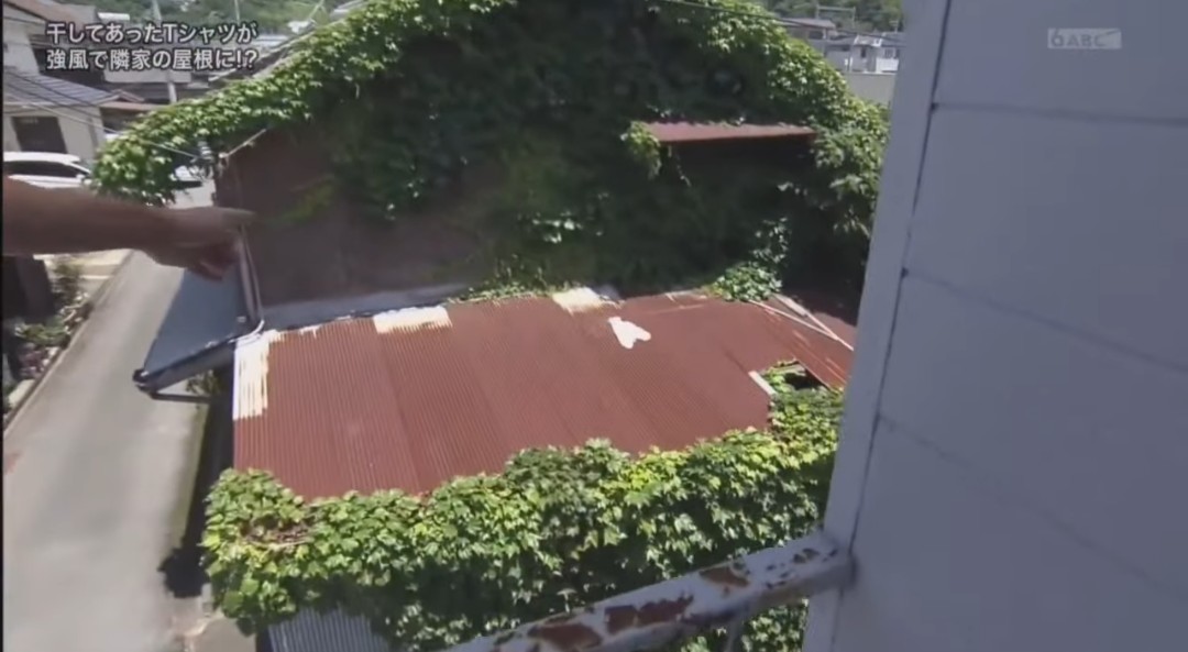 小松菜 隣家の屋根に飛んでしまったtシャツ 先日 ベランダに干してあった洗濯物が強風で飛ばされ 隣の家の屋根 に乗ってしまった その家には今は誰も住んでいないようだが 洗濯物を屋根にほったらかしにしておくのも申し訳ない 何とか