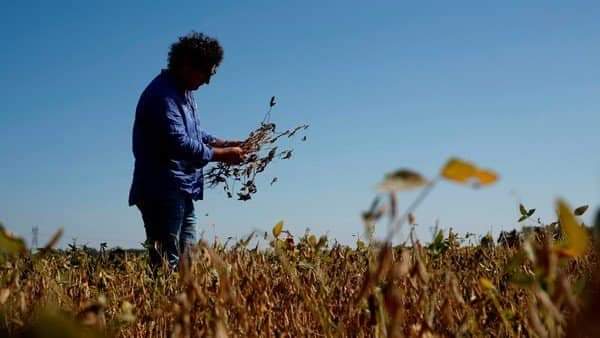 consorcioCSM's tweet photo. #DiaDeLaAgriculturaNacional
¿Sabías que el 42% de los habitantes del mundo vive de la Agricultura?
🌽🌻🌾🍅🍋🌎🚜
 Hoy saludamos a todos los que se dedican al cuidado de nuestro tierra!
#DesarrolloSostenible
#GIRH
#TransformandoAguaEnAlimento
#AgriculturaSustentable https://t.co/JAfRF8U24e