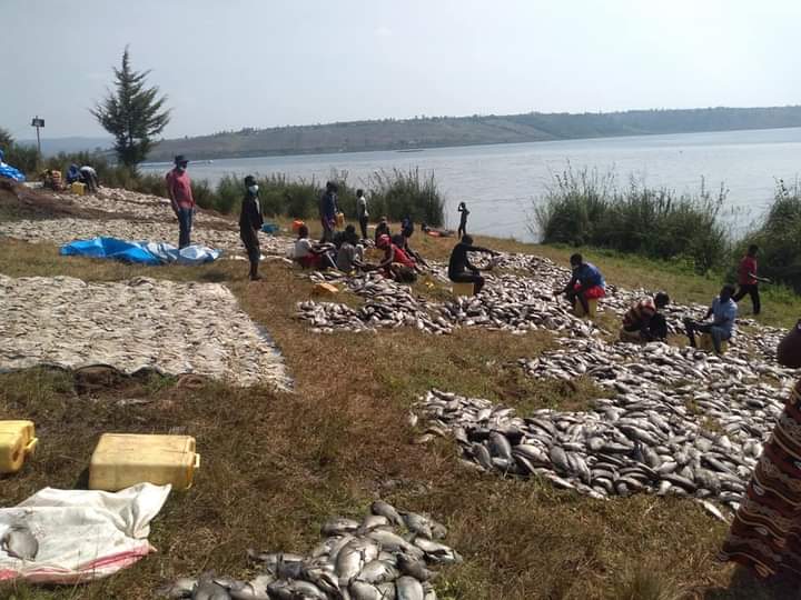 The Chronicles tweet media