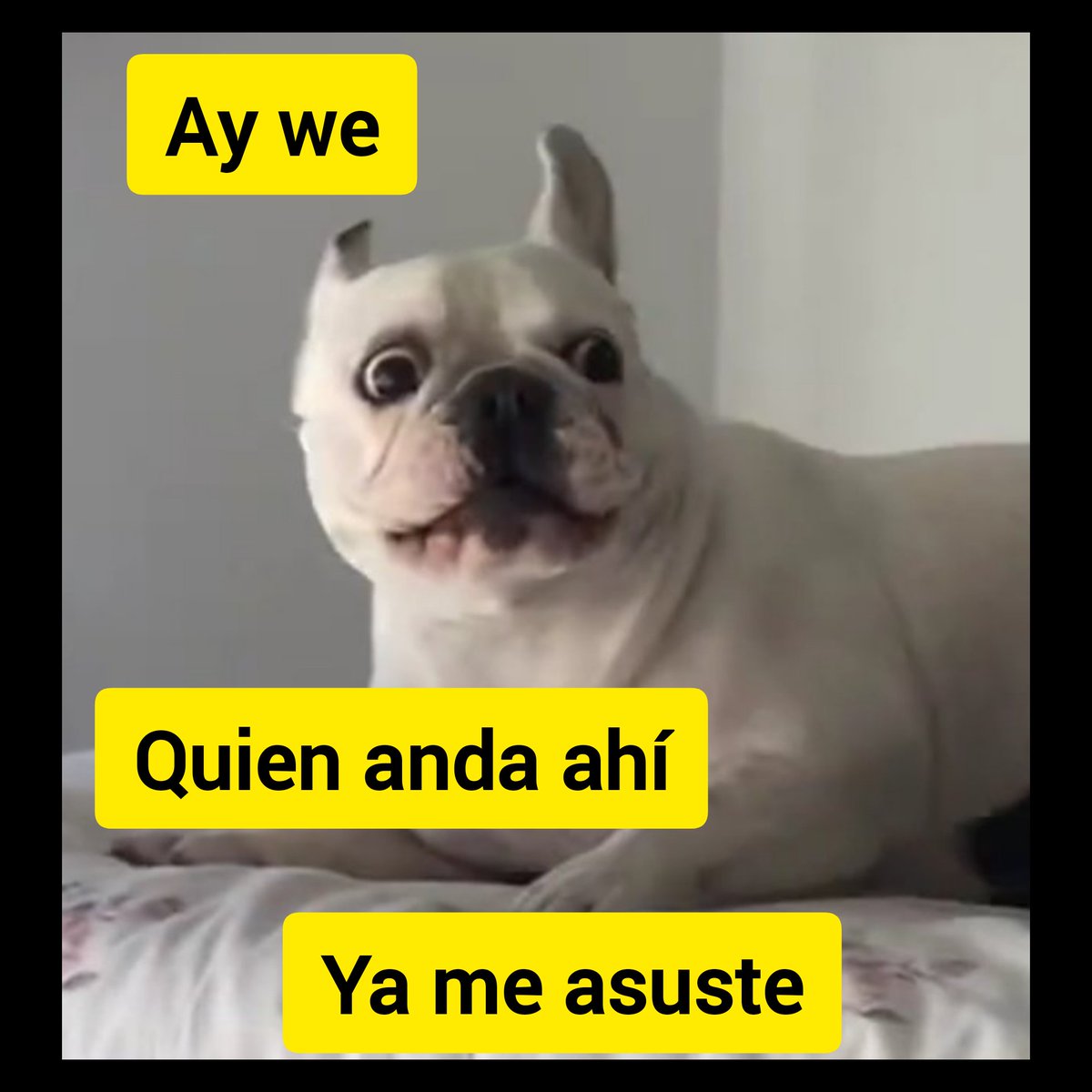 Jen_lover04's tweet photo. Ay we...
#CaseyMeme
Gracias por la foto 
@blondebenza https://t.co/BLcN3mPDkb