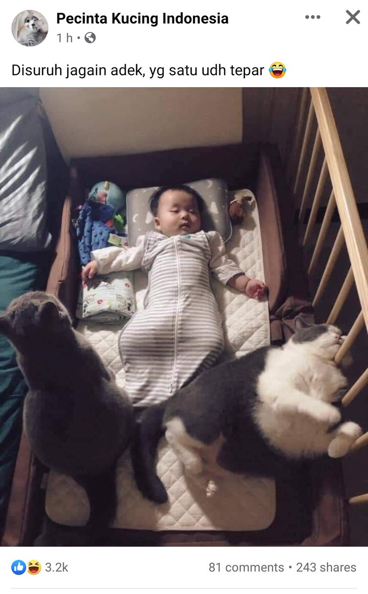 Ga lagi-lagi bund pake baby sitter dari agen sini, bayar dua yang kerja cuma satu 🤦‍♀️🤦‍♀️🤦‍♀️ kcg!