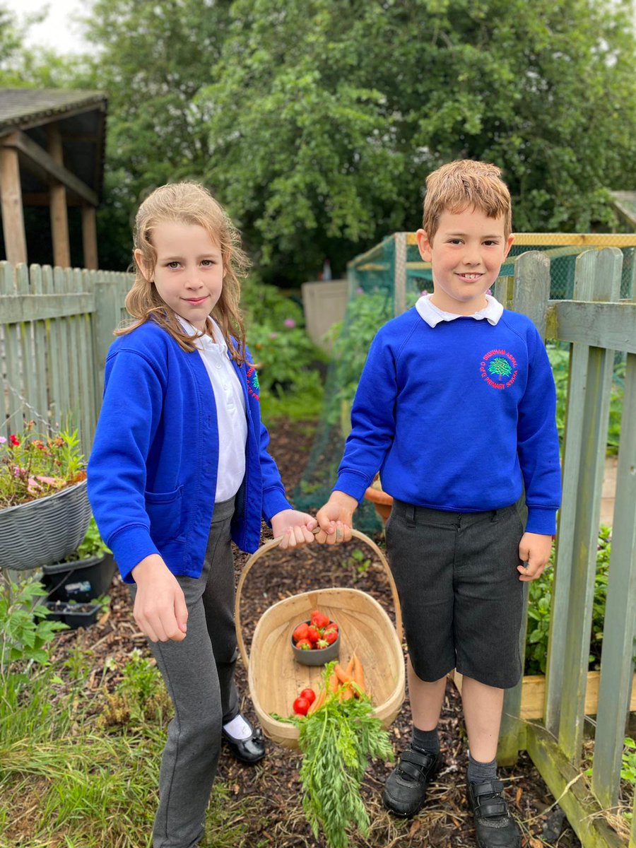 eats_Vertas's tweet photo. It’s great to see our #PeasPleasePledge in action at Stonham Aspal Primary School, where the Garden Club have been hard at work growing vegetables for the kitchen to use in their school meals!

#MakingtheDifference #FarmToForkExperience https://t.co/qiB3Q2LTD1