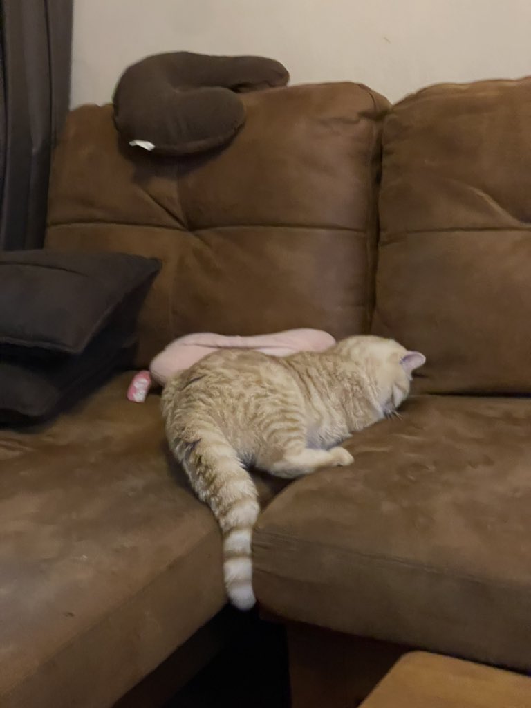 ส่วนหนึ่งของโซฟา