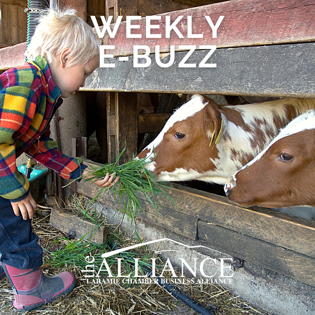 Looking for the Downtown Laramie Shopping Guide? You can find it, and other great local news in today's ebuzz! Sign up at the link below:
ow.ly/pJAO50FnHQc