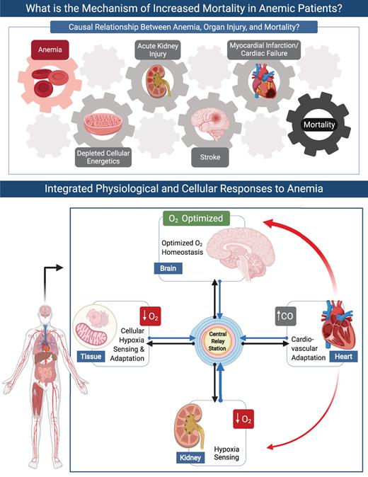 Anesthesiology Journals tweet media