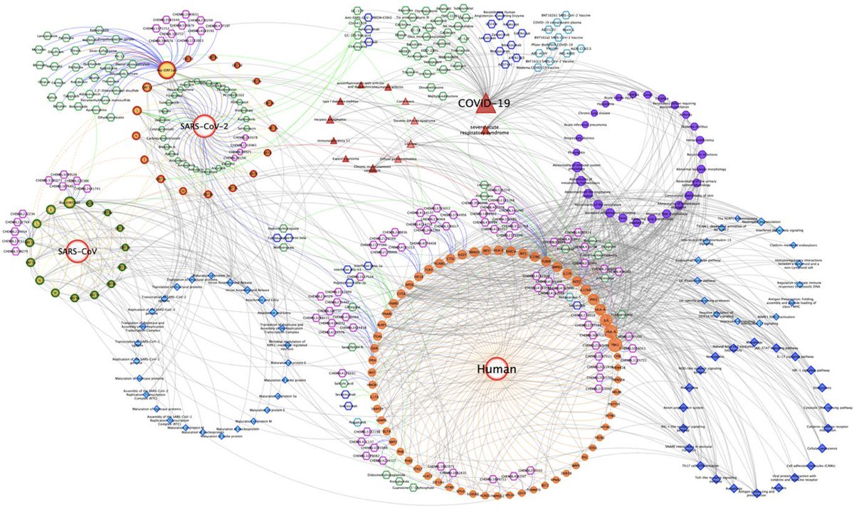 tuncadogan's tweet photo. For detailed information about the project, CROssBAR web-service and #covid19 data-driven molecular relationship-based #knowledgegraphs please refer to:

CROssBAR service:
https://t.co/NMq2j7WuON

Project repo:
https://t.co/yIybf03hF6

Project web-site
https://t.co/SuTmkskzdM https://t.co/wYHnJPRd0U
