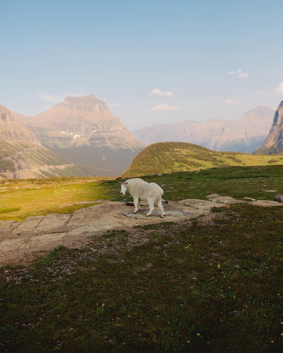 Just enjoying the view 😌