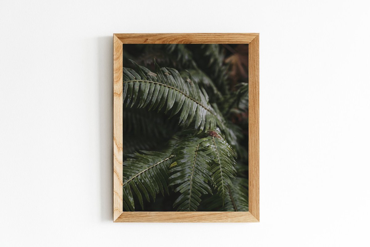 Some great digital prints by local photographer Sara Boychuk, showcasing the beauty of Canada's great outdoors! #Digitalprints allow you more flexibility when looking for wall art for your home. Learn more: blog.londondrugs.com/digital-downlo… 📷: saraboychukphoto/IG #pnw #explorebc