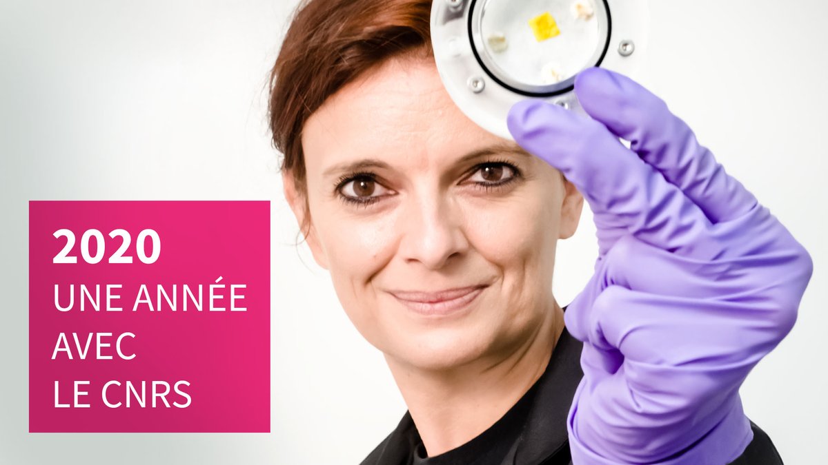 "2020, une année avec le <a href="/CNRS/">CNRS 🌍</a>" revient sur les temps forts de l'année, les actualités scientifiques, les innovations et valorisations, les dispositifs déployés pour faire avancer l'établissement sur le chemin de l'innovation organisationnelle... 

➡️cnrs.fr/fr/cnrsinfo/un…