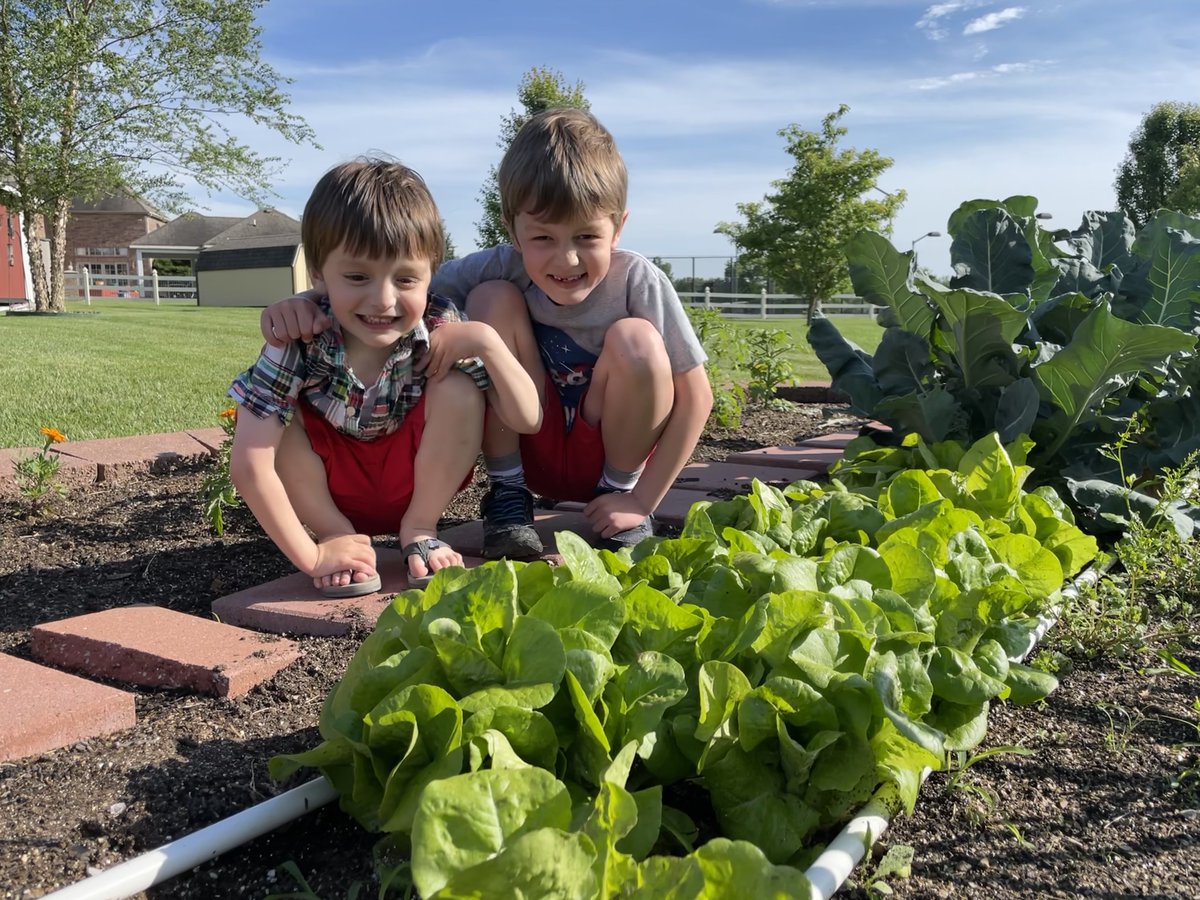 Thank you to everyone who shared their seed library garden stories with us this year! A contest winner has been selected and notified today. Lettuce take a moment to celebrate these gardeners and their green thumbs!🌿