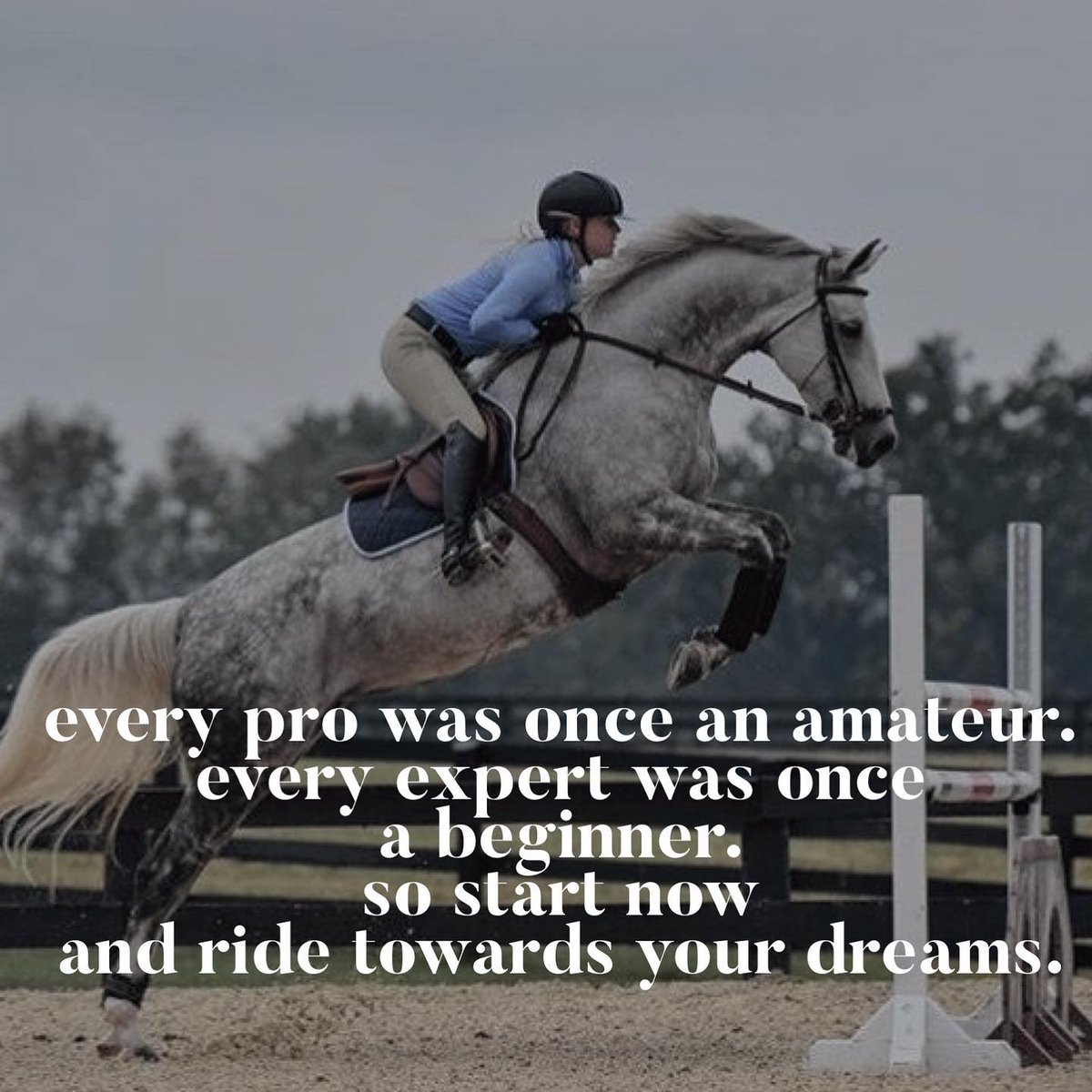 equestrianbandb's tweet photo. ✨🐎 hopefully Rudy &amp; I one day! https://t.co/ueCDKhD2Z8