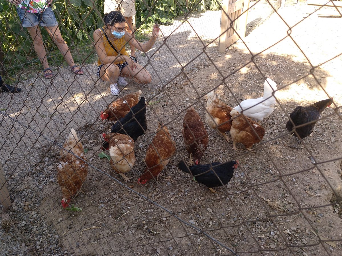 Anicet Cosialls tweet media