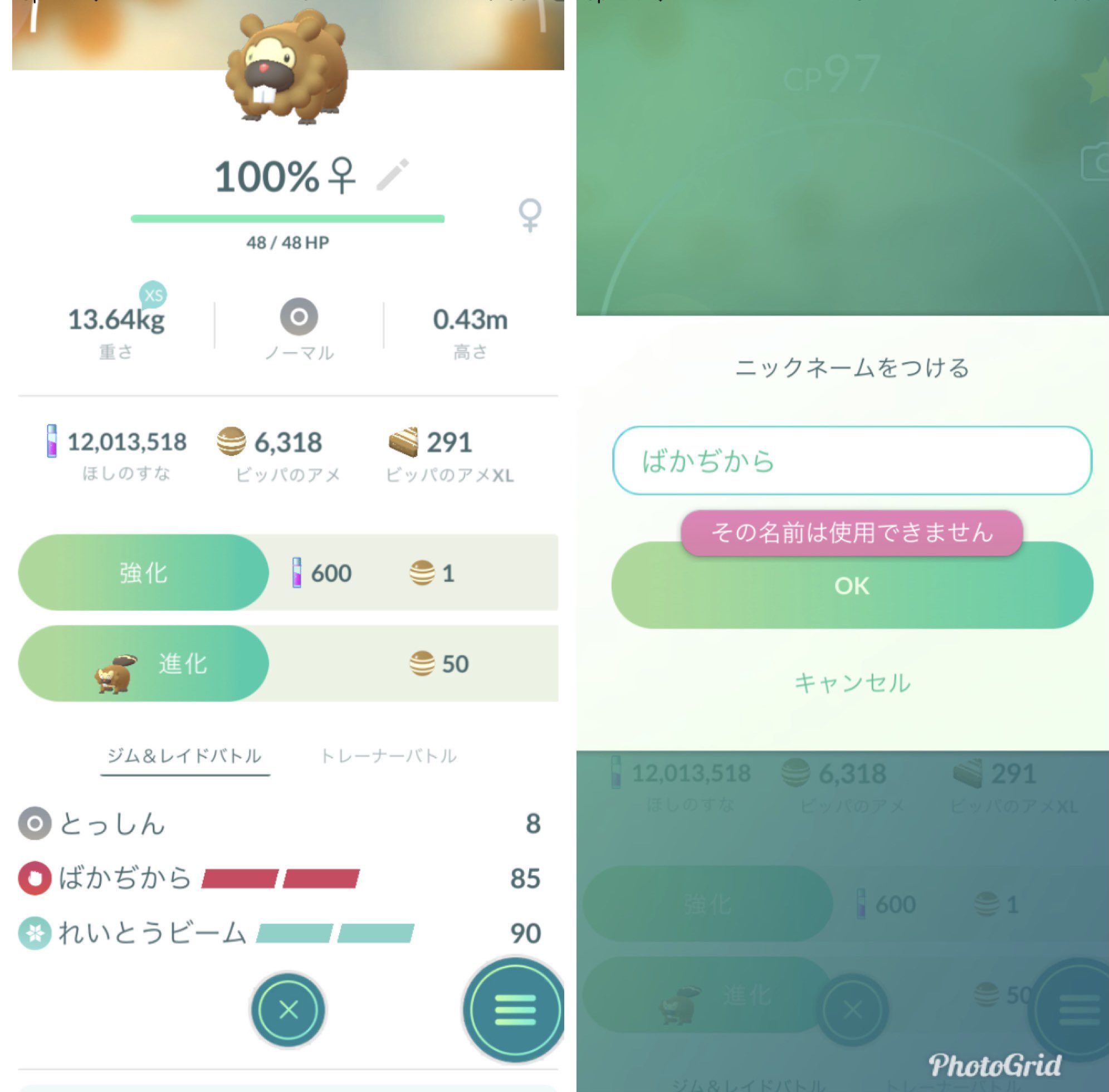 その名前は使用できません Twitter Search Twitter