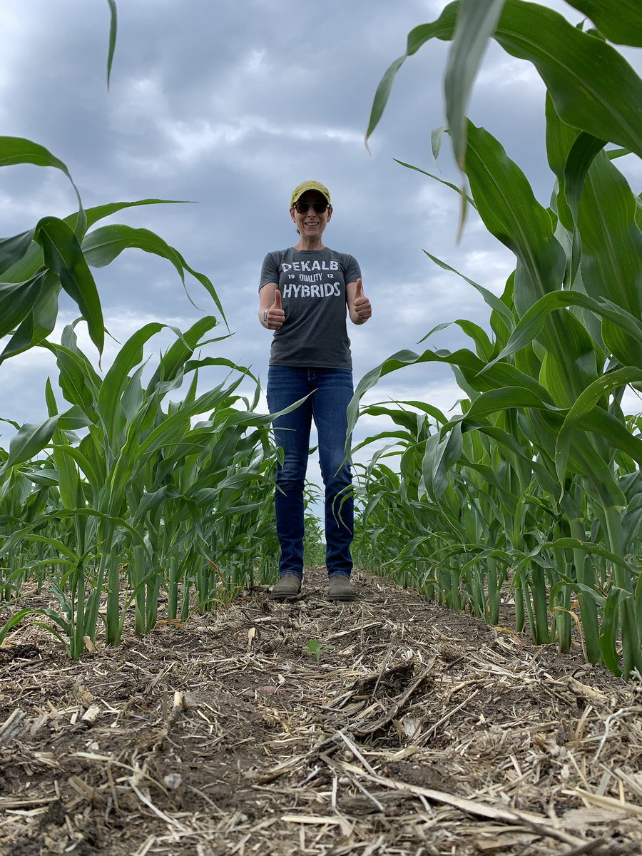 Colette Thurston🌱🐮🌽🌿 tweet media