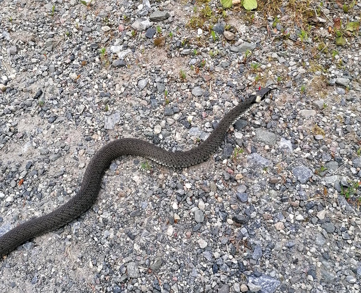 Coldevey's tweet image. I saw a man so beautiful I started crying?