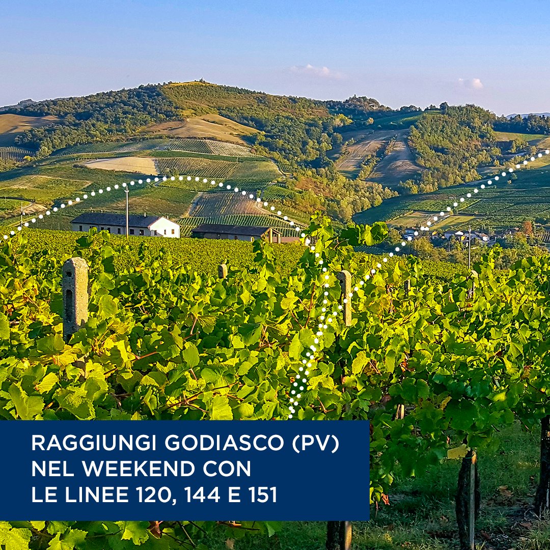 AutoguidoviePV's tweet photo. Esploriamo insieme la #Lombardia! Cominciamo tra le vie di #Voghera e la natura e la gastronomia delle colline dell'Oltrepò, tappa a #Godiasco e #Varzi - Pianifica & acquista da App Autoguidovie nella sezione "Dove vuoi andare". Lasciati guidare. https://t.co/pS2efTp8w2 https://t.co/S0UW32Mdgd