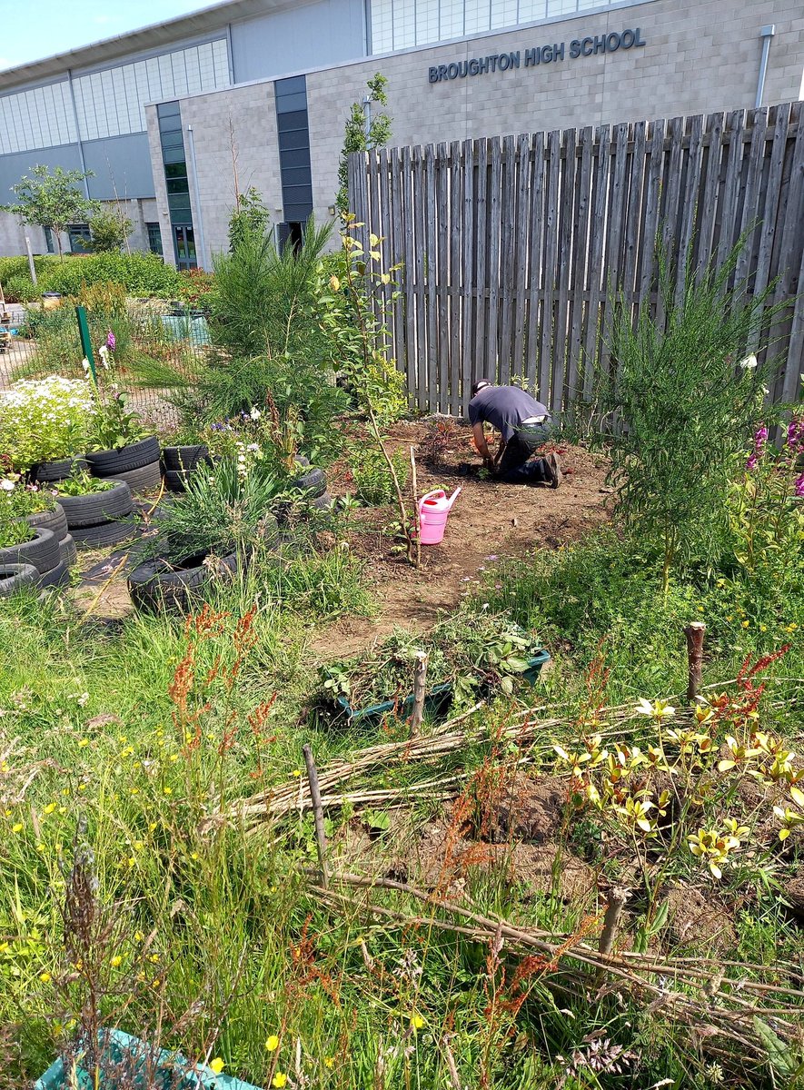 When your newly retired partner has time to help design and plant in the #schoolgarden #plants #browildness