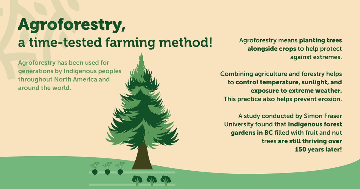 Farmwork to Feed Canada tweet media