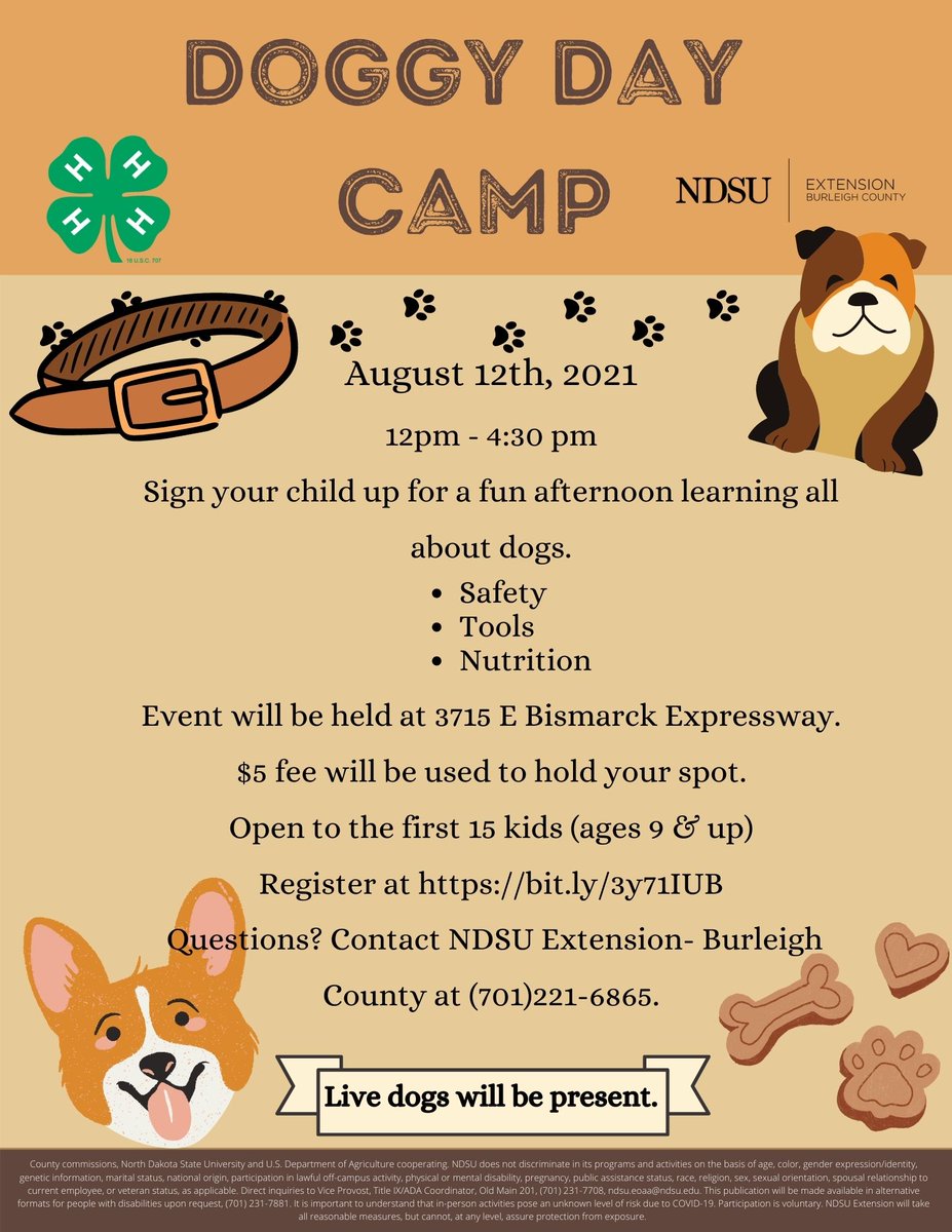 NDSUextBurleigh's tweet photo. Poodles, pugs and puppies! 🐾

Join us for an afternoon of learning all about dogs! 
A veterinarian will come &amp; discuss  pet nutrition. We will also cover safety signs and tools. 

Make toys, treats and bandanas. 

Best of all, LIVE DOGS!

Register at: https://t.co/B8d9HE6Vlx https://t.co/uei4yuOnI1