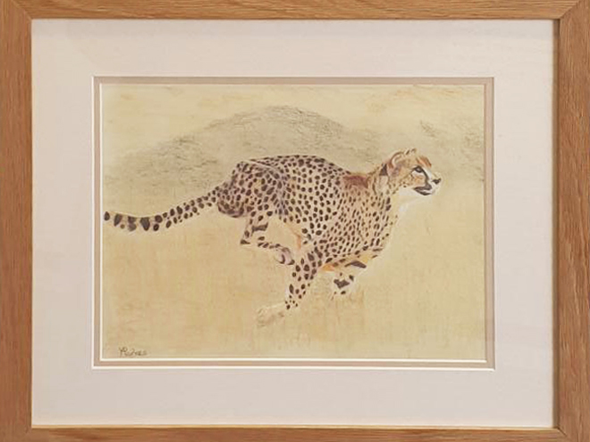 Pencil Museum tweet media