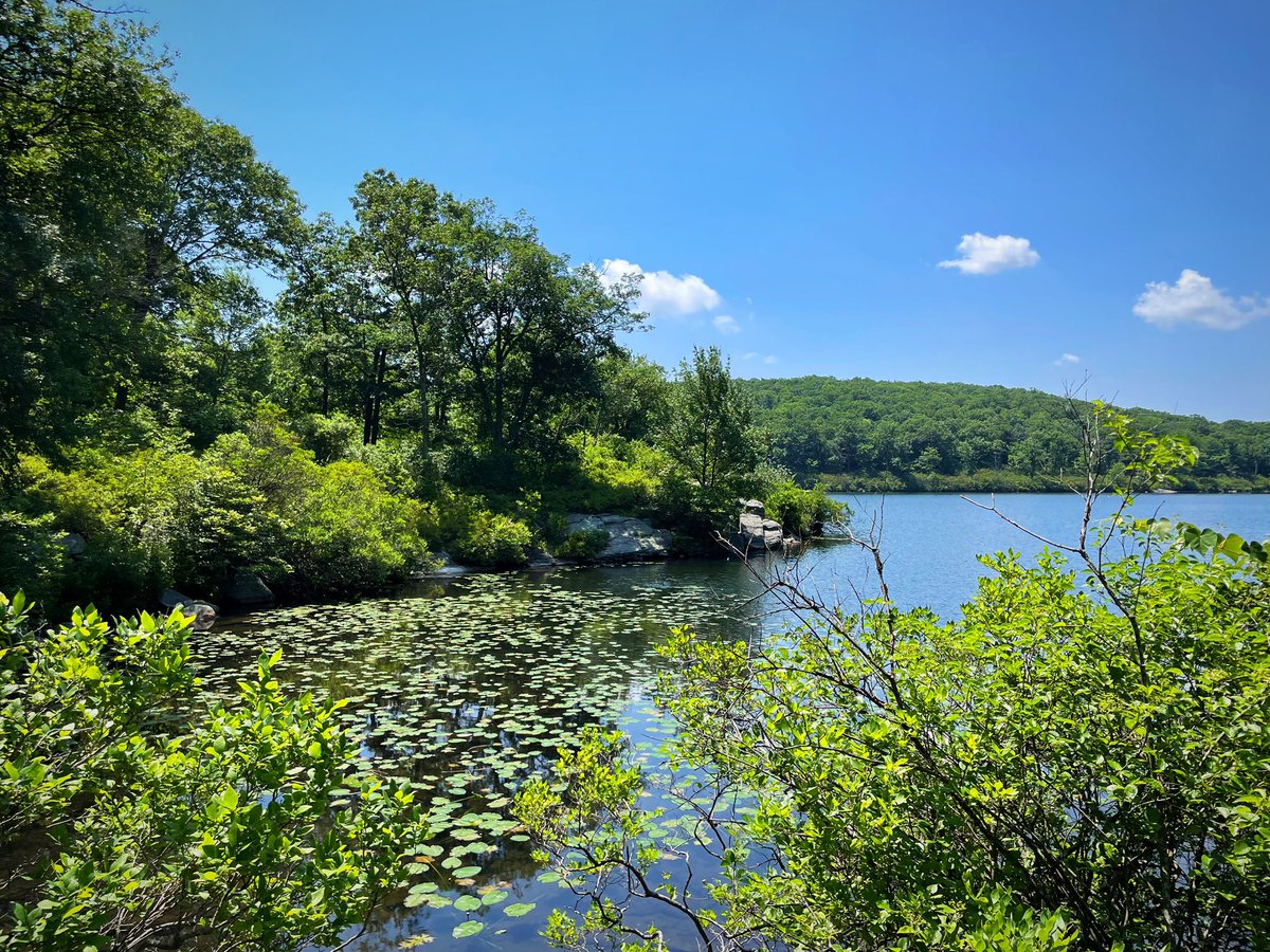ConquerWild's tweet photo. Here are a few shots from my 97°F hike the other day. It was a SPICY one and definitely a challenge… But luckily, I was prepared. Here’s a thread on how to stay safe when hiking in this type of heat… https://t.co/MInZtiLM4I