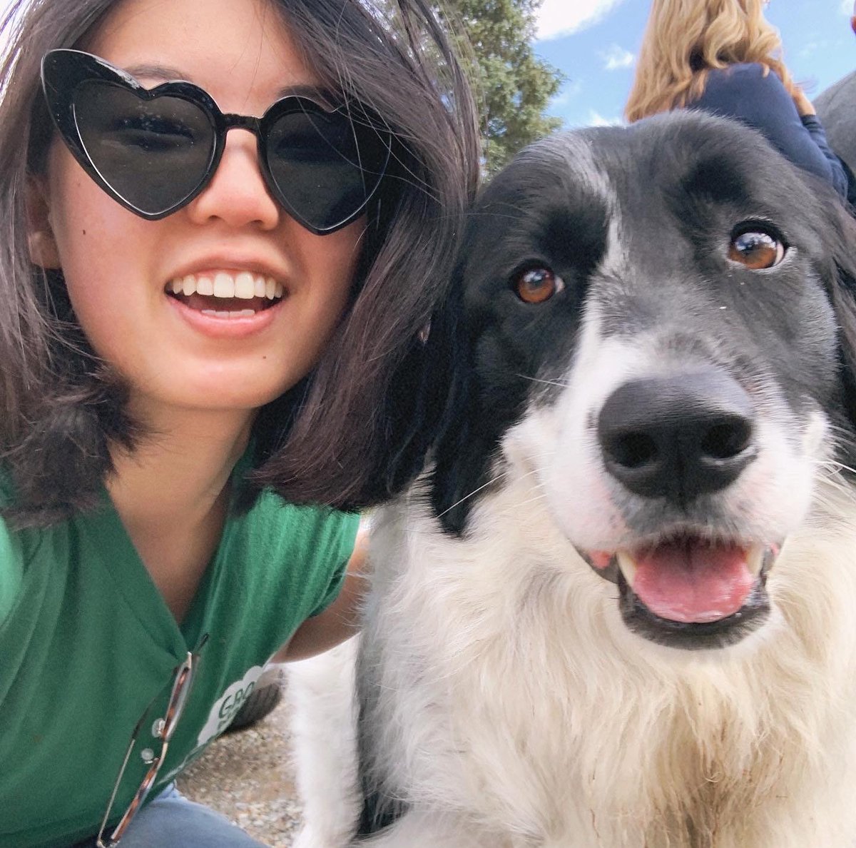 we in the mountains casting spells