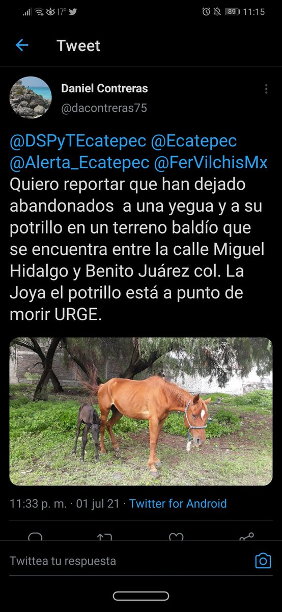 PoderAG Ecatepec tweet media