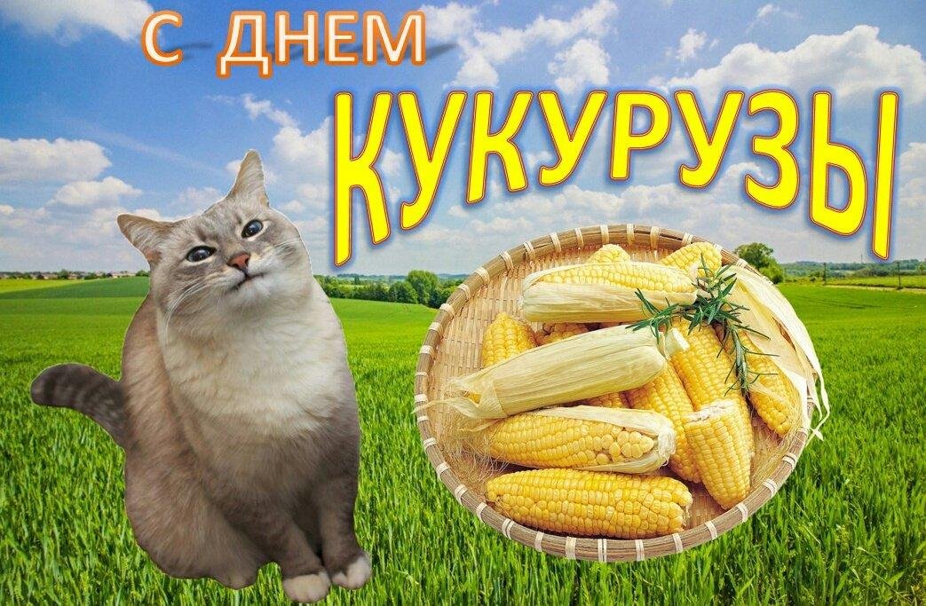 Наконец-то, я так счастлива!! Уже варится, моя хорошая!!! Сезон кукурузки наконец-то открыт