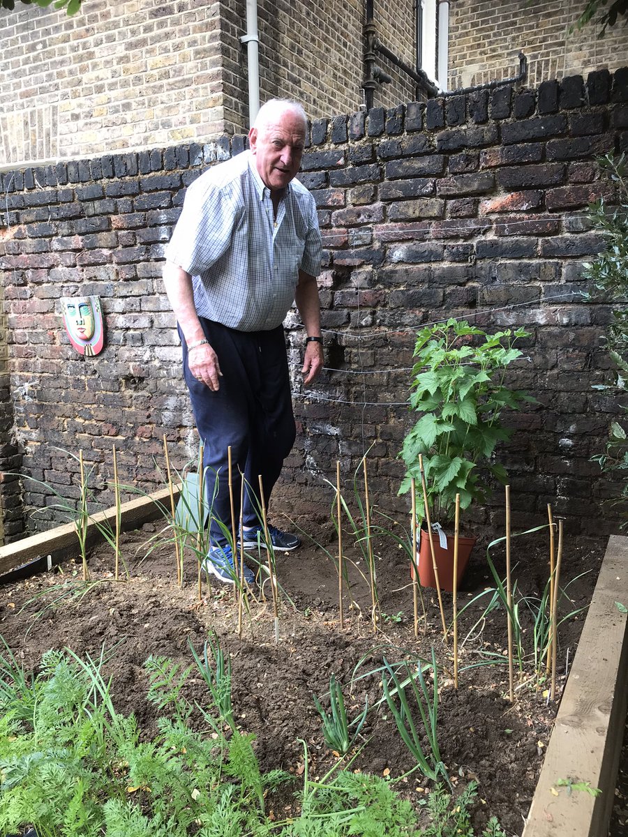 AndrewKauffma20's tweet photo. Great to get out with @LBHF #OrchardSquare ShelteredHousiingResidents for a allotment session #Veg #Salads #Berries #Friuits all in raised planters and #recycled old tree guards into #Cloches #EdibleEstates #GroWYourOwn @idverdeUK thanks @rocketgardens for another great #VegPatch https://t.co/ZqzJKZN21R