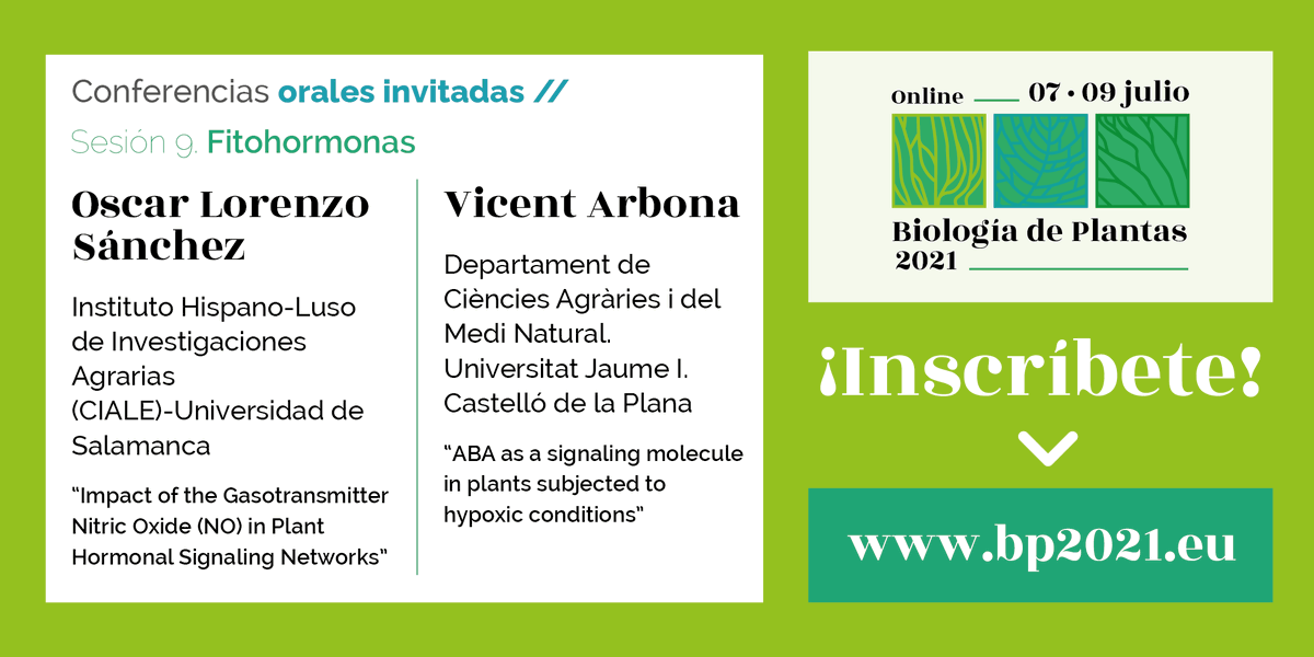 CongresoBP2021's tweet photo. 📌 En nuestro #BP2021 la sesión 9 estará dedicada a las fitohormonas, de las que nos hablarán Óscar Lorenzo Sánchez #CIALE y Vicent Arbona @UJIuniversitat. Nos acompañas?
👉 https://t.co/crydgRAWm0 👈
@NewsSEFV @uvigo @IzasaScientific @FrontPlantSci @GlobalPlantGPC @Orballo_eco https://t.co/HkNHr1RzCT