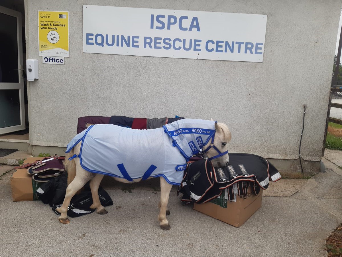 ISPCA (@ispca1) on Twitter photo We would like to give a huge thanks to <a href="/Horseware/">Horseware Ireland</a> ! Their much needed and incredible donation to our ISPCA Mallow Equine Rescue Centre means that we have essential supplies for the horses in our care. Ruby is also loving her new outfit! 💖
ispca.ie #ispca We would like to give a huge thanks to <a href="/Horseware/">Horseware Ireland</a> ! Their much needed and incredible donation to our ISPCA Mallow Equine Rescue Centre means that we have essential supplies for the horses in our care. Ruby is also loving her new outfit! 💖
ispca.ie #ispca