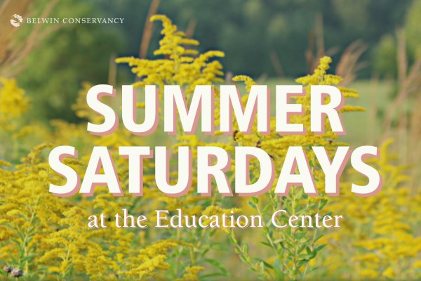Tomorrow (7/3) is Summer Saturday at the Belwin Education Center! Explore more than 4 miles of trails through woodland, prairie and wetland from 8AM to 4PM at Belwin’s Education Center. Free and open to all!

belwin.org/events