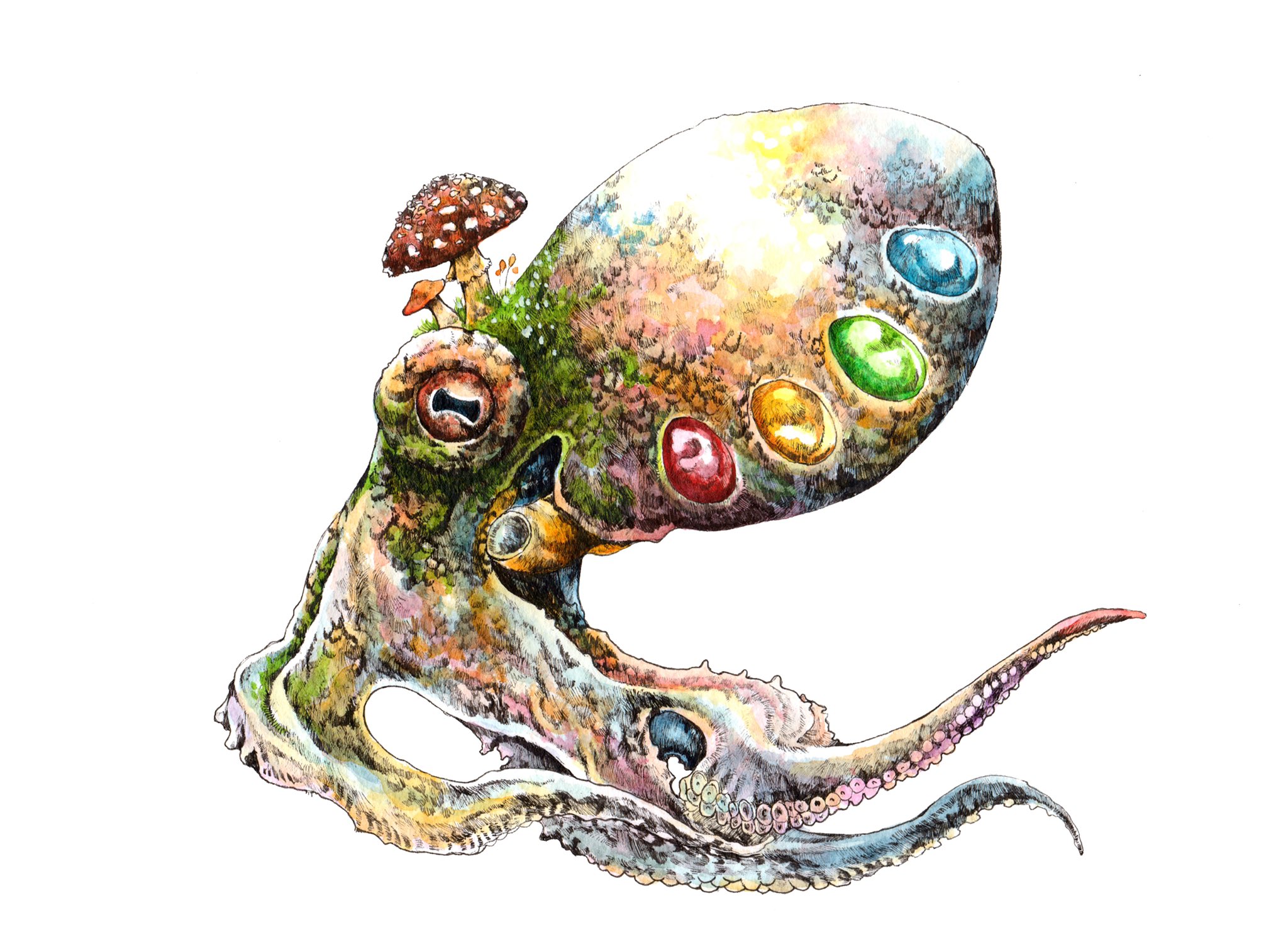マツダケン　原画(タコ) マツダケン 原画(タコ) - メルカリ