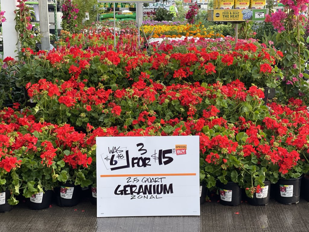 thEonEDM's tweet photo. Redlands ready for the 4th of July weekend!!🇺🇸@josephgarciathd @CarlosH_TC1013 @DS281013 https://t.co/80x4HPKcIW