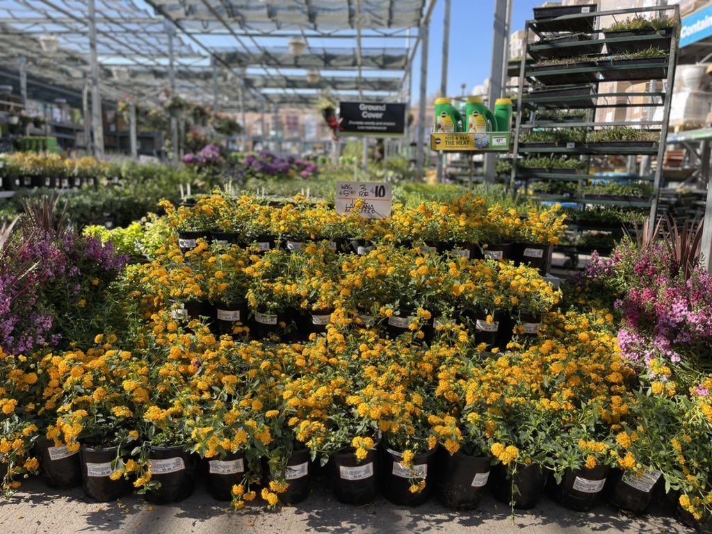 thEonEDM's tweet photo. Redlands ready for the 4th of July weekend!!🇺🇸@josephgarciathd @CarlosH_TC1013 @DS281013 https://t.co/80x4HPKcIW