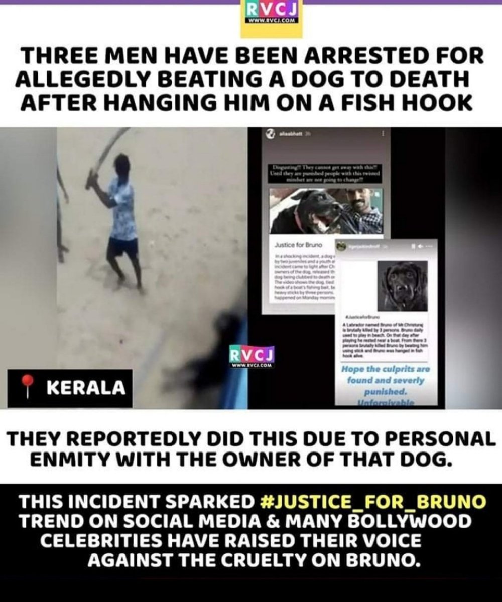 Indian Veterinary Unity tweet media