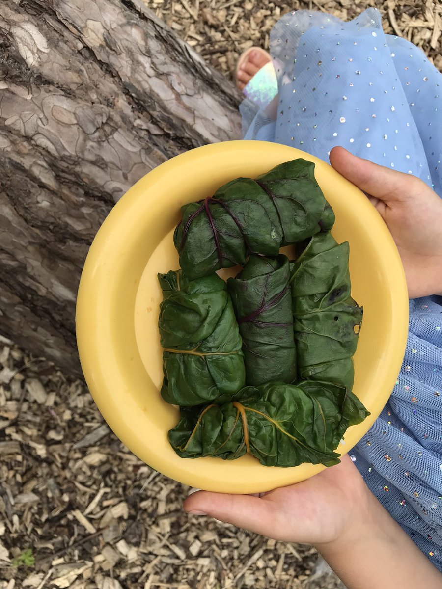 globalgardenscf's tweet photo. Second of our ‘Veggie Tales’ workshops with local families was all about chard - harvesting, steaming and wrapping rice in them to make #dolmas tasty!  
#chard #summerharvest #veggietales #communitylearning https://t.co/oNbkWTTk7r