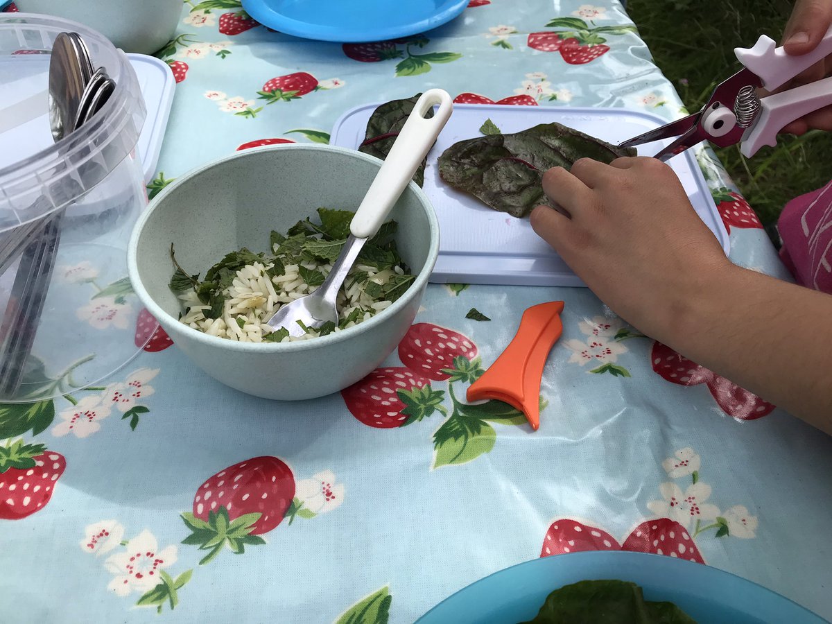 globalgardenscf's tweet photo. Second of our ‘Veggie Tales’ workshops with local families was all about chard - harvesting, steaming and wrapping rice in them to make #dolmas tasty!  
#chard #summerharvest #veggietales #communitylearning https://t.co/oNbkWTTk7r