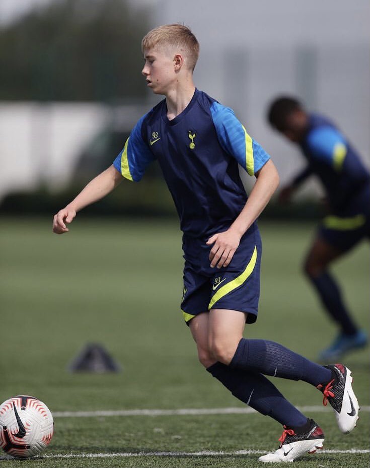 Lilywhite Rose tweet media