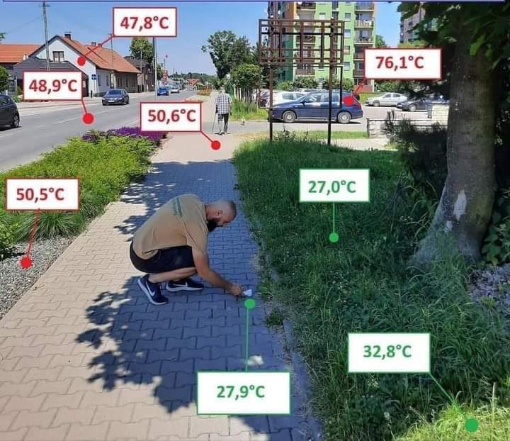 Elis60922881's tweet photo. Evo zašto saditi drve��e 💚 https://t.co/ClSkNoUFSd