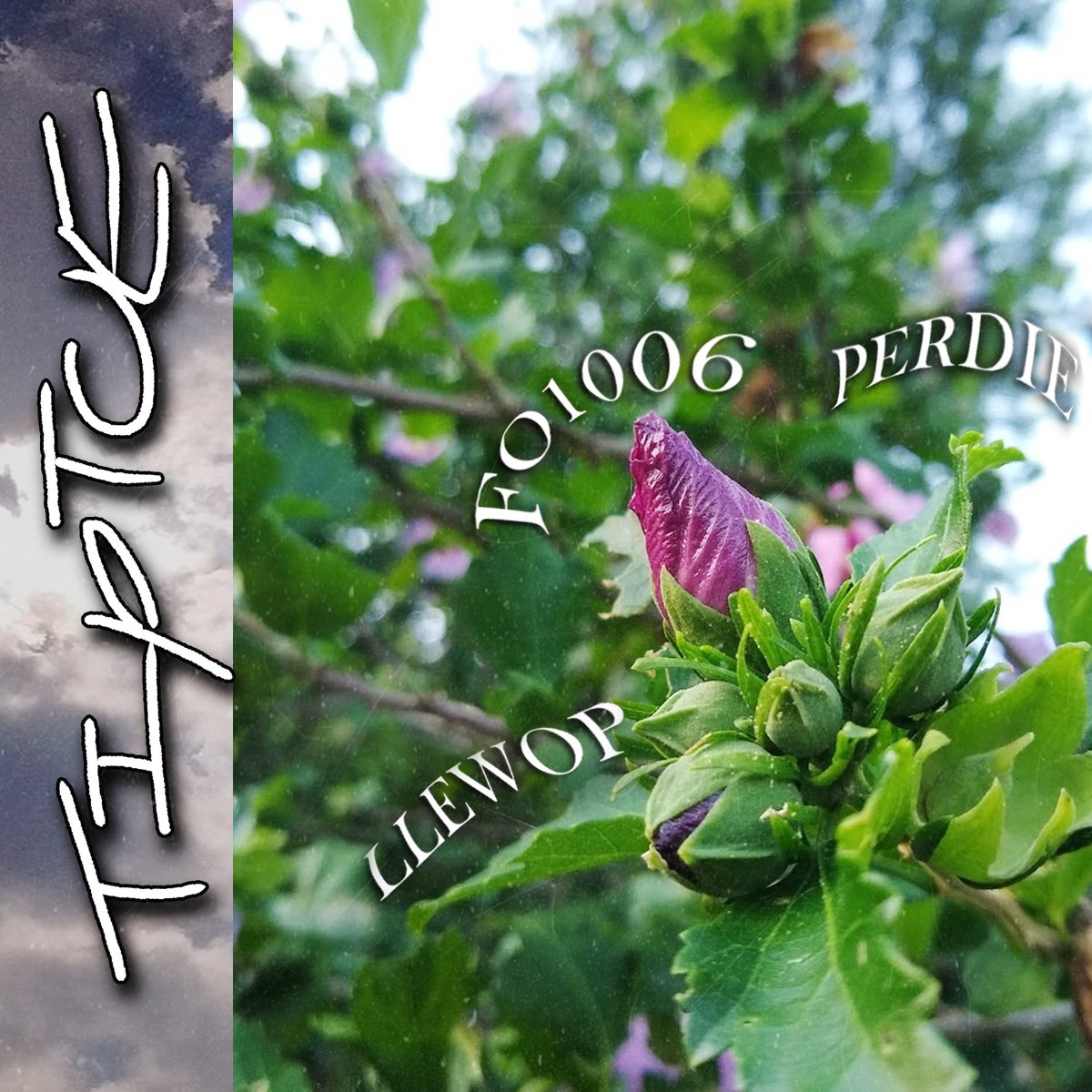 tiptoe w/ <a href="/perdieprod/">perdie</a> &amp; fo1006 is finally out
hyperlink in my bio ♥️