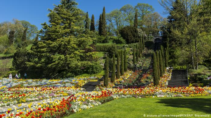 dw_russian's tweet image. Этот немецкий остров-сад на Боденском озере стал одной из главных достопримечательностей региона. Все благодаря усилиям шведского правнука российского царя Александра II. Вот как выглядит этот сад p.dw.com/p/3JKft?maca=r…