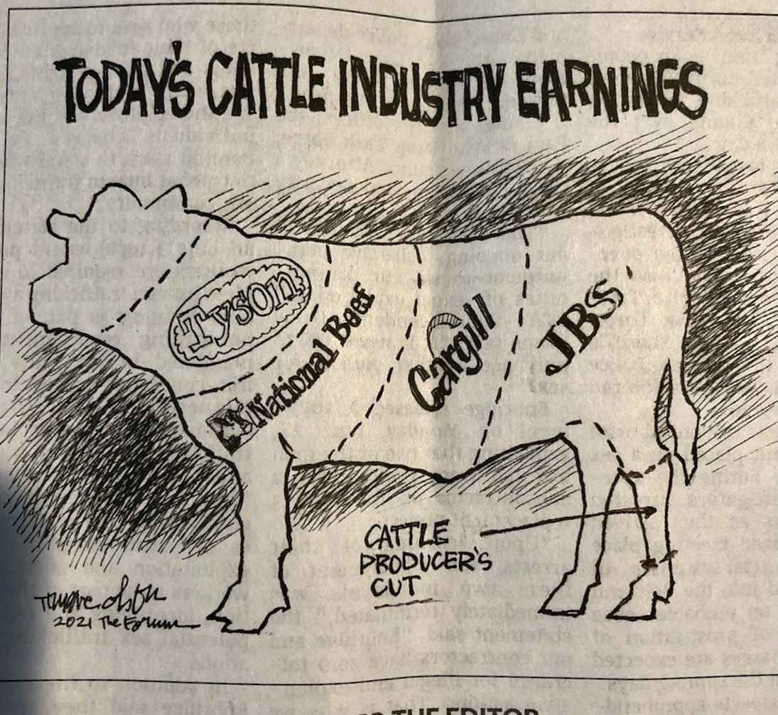 kenziej89's tweet photo. Cattle industry 2021… what a time to be alive… https://t.co/0Xl2LPN6rB