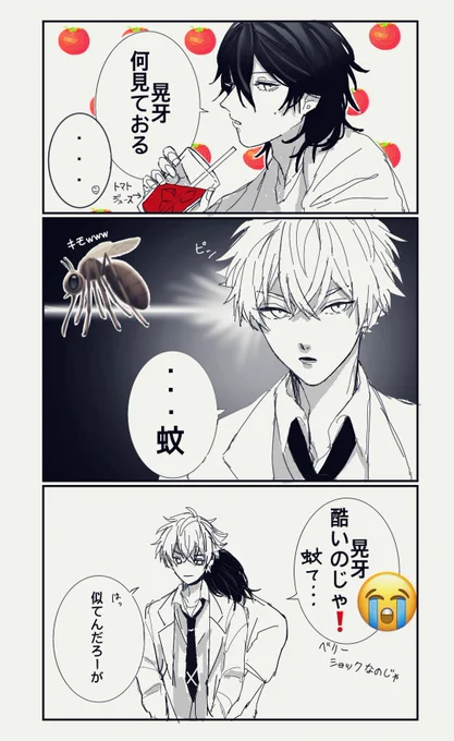 なんだこれ🥫
零晃 