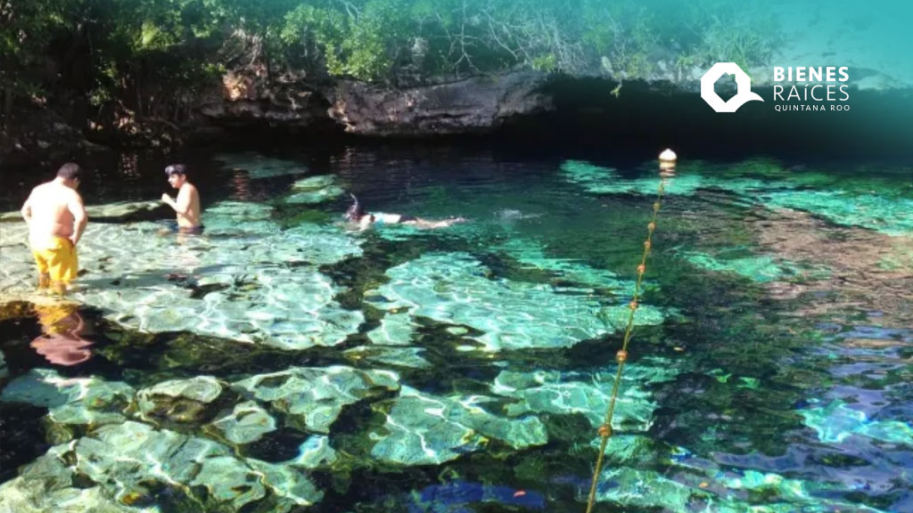 BienesRoo's tweet photo. 😎 QUÉ HACER EN TULUM | Explora las maravillas de Quintana Roo: Cenote Isla Álamos
https://t.co/JbQQA4IhUB
#QuéhacerenTulum #WhattodoinTulum #QuéhacerenQuintanaRoo #WhattodoinQuintanaRoo #Tulum #CenoteIslaAlamos #Buceo #Snorkel #Cenote #AgenciaInmobiliariaTulum #TulumRealtor https://t.co/7JpAC8FsGX