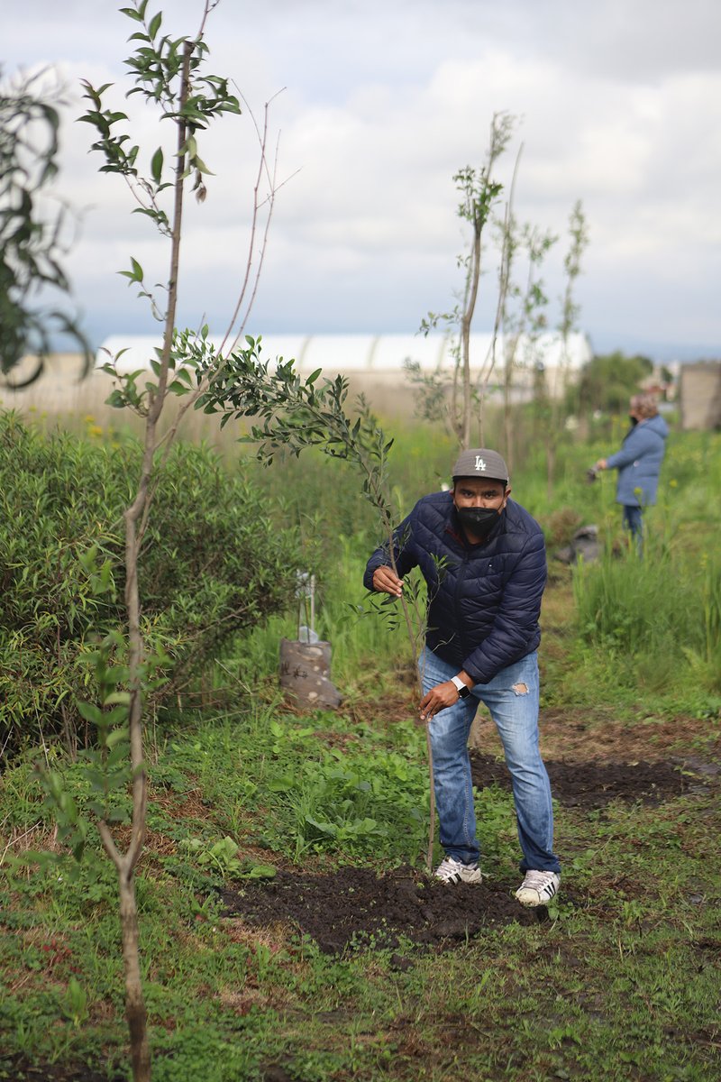 GabyGamboa_S's tweet photo. Sembrar un árbol es sembrar vida. 🌳
Plantamos 1000 árboles en el Pueblo de San Lucas Tunco, como parte del programa de reforestación para mantener un Metepec verde. ¡Cuidemos el #MedioAmbiente! #MetepecLaCasaDeTodos #MetepecVerde https://t.co/hYamCNNh7r