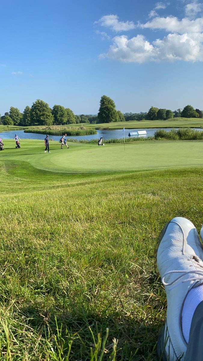 Custom Ireland tweet media