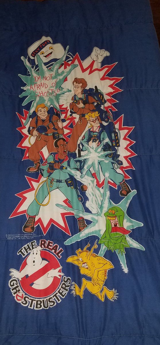 Addicted to He-Man, MOTU, TMNT and Ghostbusters tweet media