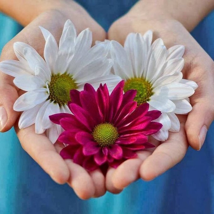 mar_de_sirena's tweet photo. @78rider Yes, #Sangs!😊🌹💓🙏!
#Gratitude for your Presence here🌻!
#Kindness is #Health💓, and
💕💕💕💕💕💕💕#LoveHasNoBorders💕💕💕💕💕💕💕
People are made to Be
Celebrated & Respected in #Life💓#AllThePeople!
#People are not #numbers but #History💓.
#CleanEnergy🌻#HighVibration
🕯️✌️ https://t.co/g0hU36PCcq